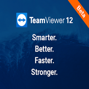 teamviewer 12 background process