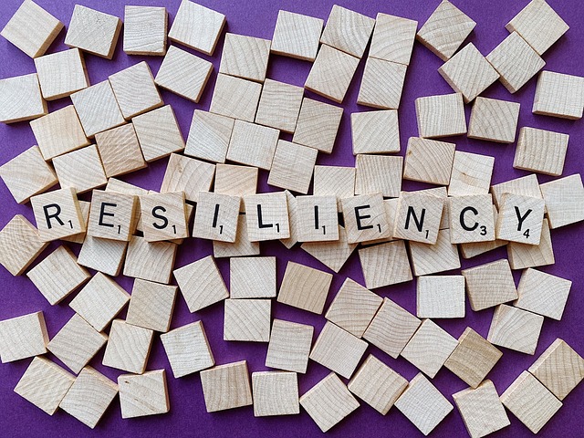 resilient-cyber resilience-resilienza